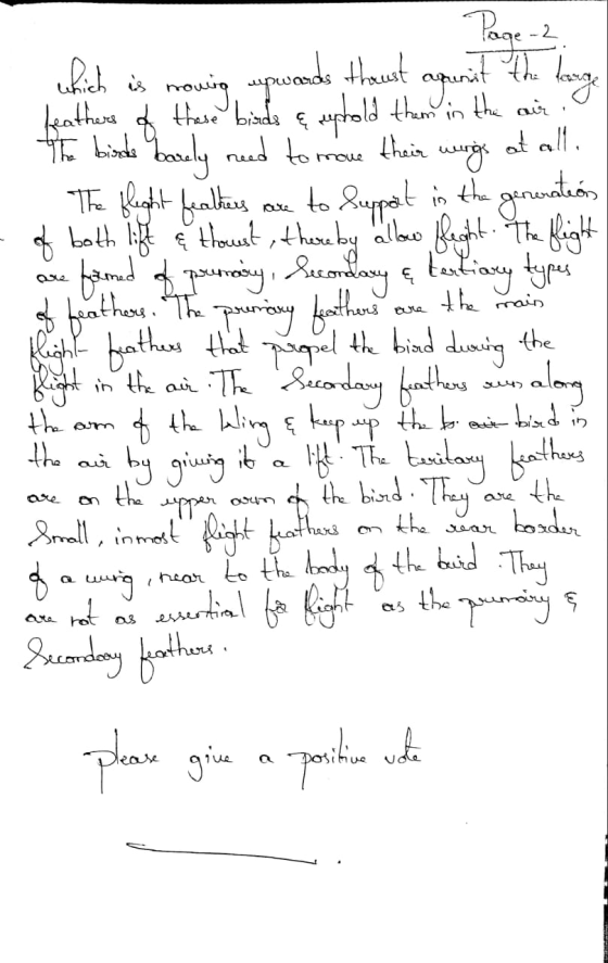 Page -2. which is nowing upwards thoust annat the large feathers of these biseda e euphold them in the case. I The bisode Wes