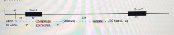media%2F254%2F2544e5ec-5cb4-42fd-b5f8-2a