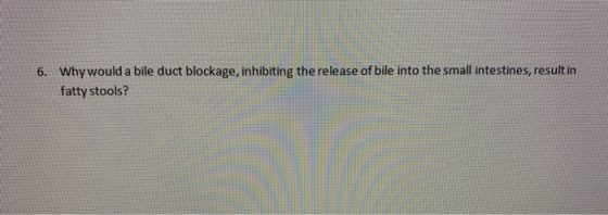 6. Why would a bile duct blockage, inhibiting the release of bile into the small intestines, result in fatty stools?