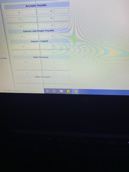Accounts Payable Salaries and Wages Payable Owners Capital Sales Revenue ry Study