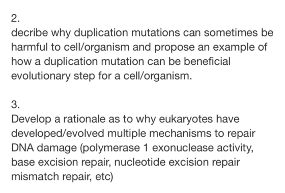 decribe why duplication mutations can sometimes be harmful to cell/organism and propose an example of how a duplication mutat