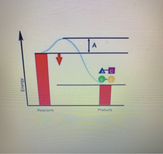 Ener Reactants Products
