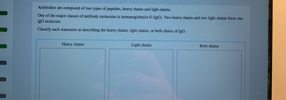 Antibodies are composed of two types of peptides, heavy chains and light chains. One of the major classes of antibody molecul