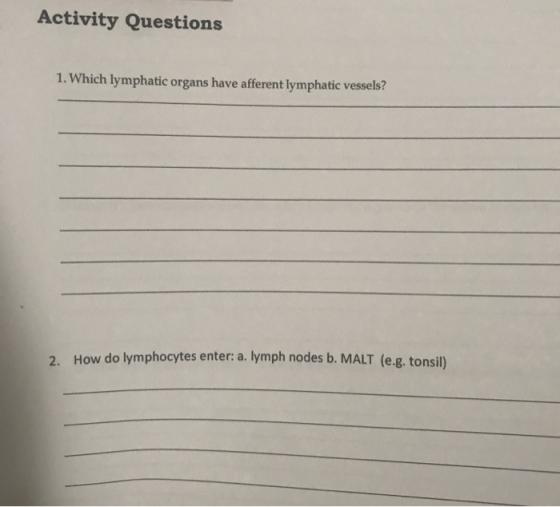 Activity Questions 1. Which lymphatic organs have afferent lymphatic vessels? 2. How do lymphocytes enter: a. lymph nodes b.