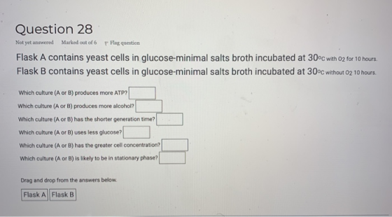 Question 28 Not yet answered Marked out of 6 P Flag question Flask A contains yeast cells in glucose-minimal salts broth incu