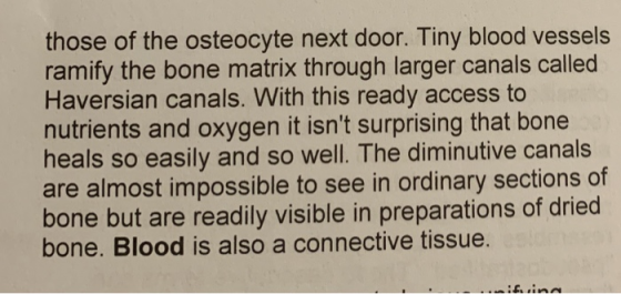 those of the osteocyte next door. Tiny blood vessels ramify the bone matrix through larger canals called Haversian canals. Wi