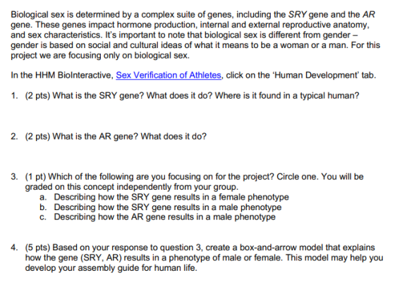 Biological sex is determined by a complex suite of genes, including the SRY gene and the AR gene. These genes impact hormone