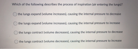 Which of the following describes the process of inspiration (air entering the lungs)? the lungs expand (volume increases), ca
