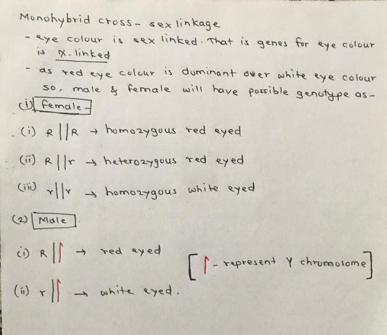 Monchybrid cross - sex linkage -eye colour is sex linked. That is genes for eye colour is X-linked - as red eye colour is dom