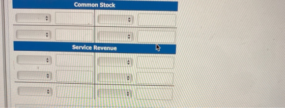 Common Stock Service Revenue