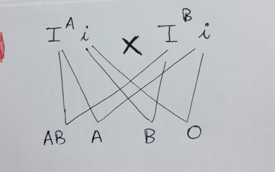 АВ А В о
