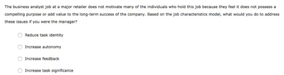 The business analyst job at a major retailer does not motivate many of the individuals who hold this job because they feel it