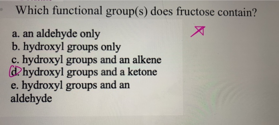 - Which functional group(s) does fructose contain? a. an aldehyde only b. hydroxyl groups only c. hydroxyl groups and an alke