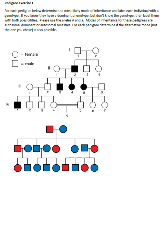 Pedigree Exercise For each pedigree below determine the most likely mode of inheritance and label each individual with a geno