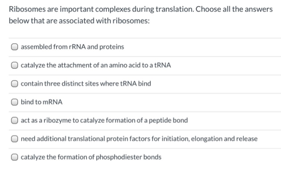 Ribosomes are important complexes during translation. Choose all the answers below that are associated with ribosomes: assemb