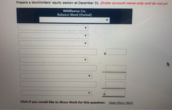 Prepare a stockho lders equity section at December 31. (Enter account name only and do not pr Wildhorse Co. Balance Sheet (P