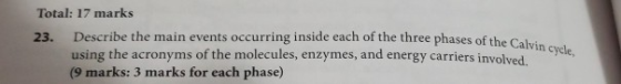 ases of the Calvin cycle, Total: 17 marks 23. Describe the main events occurring inside each of the three phases of the Calul