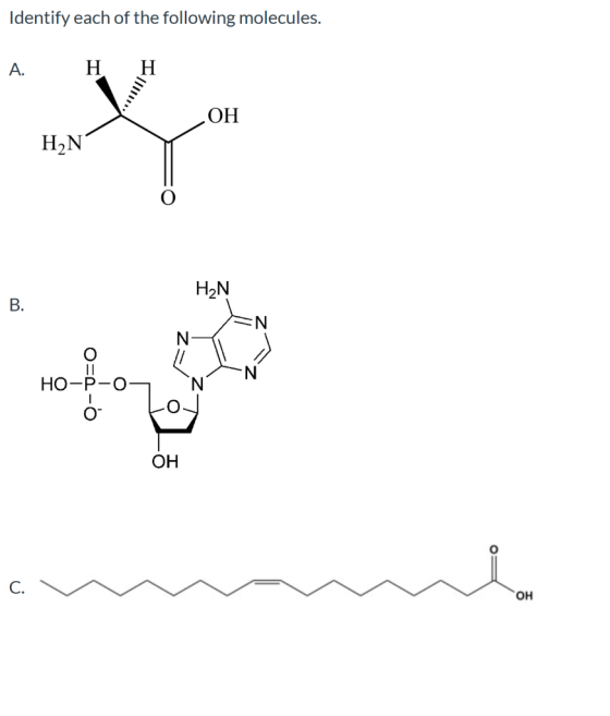 Identify each of the following molecules. A. H H OH H2N H2N B. N N IL HO- 0 OH C. OH