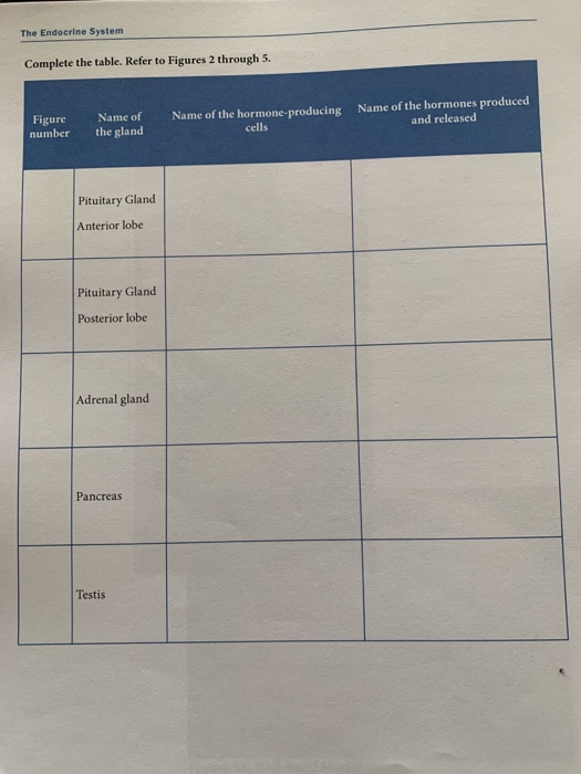 The Endocrine System Complete the table. Refer to Figures 2 through S. Figure number Name of the gland Name of the hormone-pr