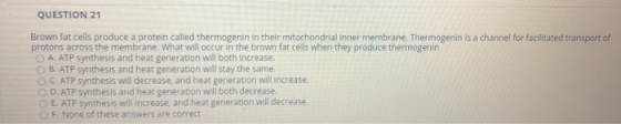 QUESTION 21 Brown fat cells produce a protein called thermogenin in their mitochondrial inner membrane. Thermogenin is a chan
