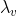 \lambda_{v}