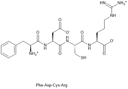 HN NH2 NH 0 NH3 SH Phe-Asp-Cys-Arg