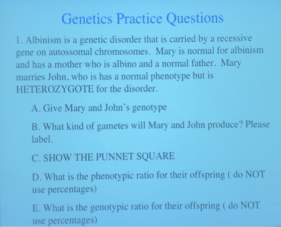 Genetics Practice Questions 1. Albinism is a genetic disorder that is carried by a recessive gene on autossomal chromosomes. Mary is normal for albinism and has a mother who is albino and a normal father. Mary marries John, who is has a normal phenotype but is HETEROZYGOTE for the disorder. A. Give Mary and Johns genotype B. What kind of gametes will Mary and John produce? Please label. C. SHOW THE PUNNET SQUARE D. What is the phenotypic ratio for their offspring (do NOT use percentages) E. What is the genotypic ratio for their offspring (do NOT use percentages)