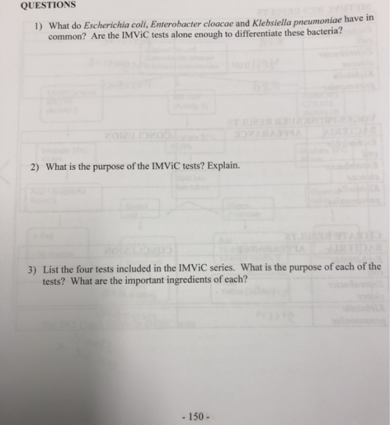 QUESTIONS 1) What do Escherichia coli, Enterobacter cloacae and Klebsiella pneumoniae have in common? Are the IMVIC tests alo