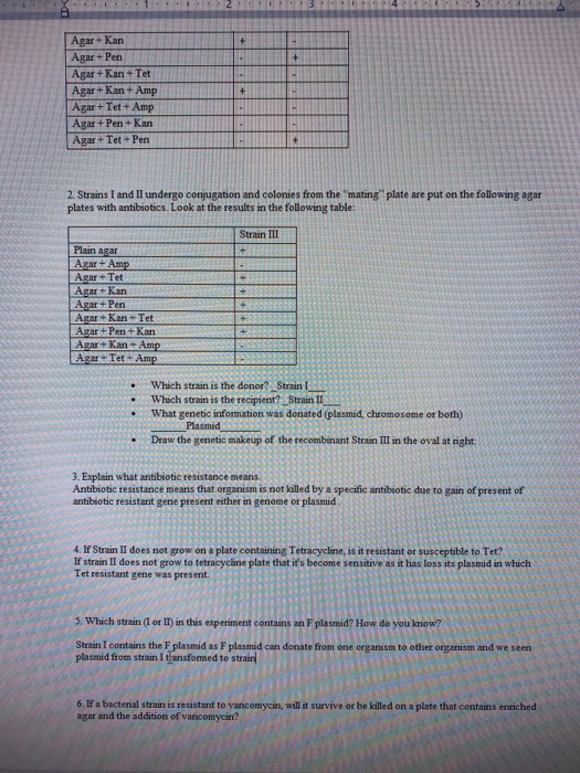 .2 . . .3 Agar + Kan Agar + Pen Agar + Kan + Tet Agar + Kan + Amp Agar +Tet + Amp Agar + Pen +Kan Agar +Tet + Pen 2. Strains