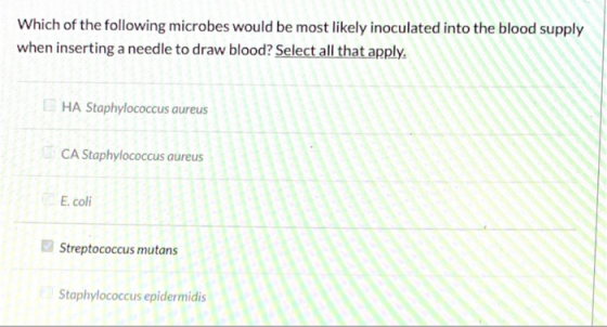 Which of the following microbes would be most likely inoculated into the blood supply when inserting a needle to draw blood?