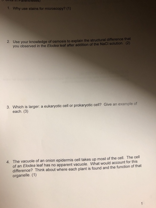 1. Why use stains for microscopy? (1) 2. Use your knowledge of osmosis to explain the structural difference that you observed