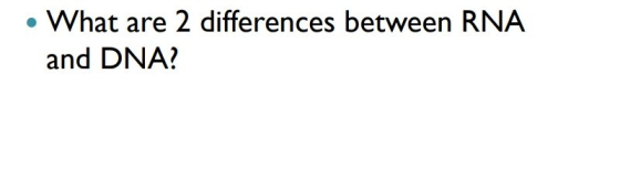 • What are 2 differences between RNA and DNA?