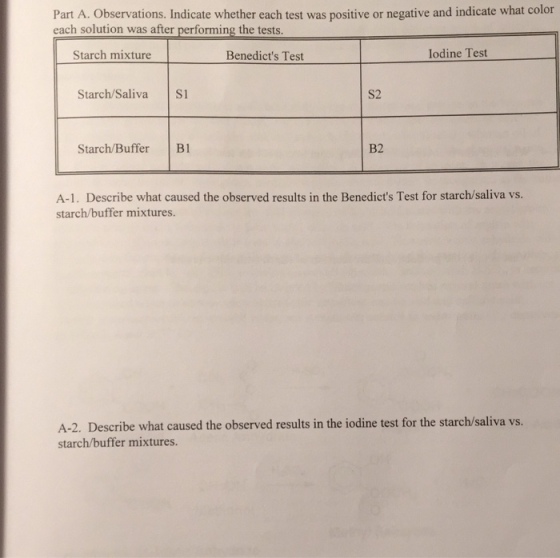 Observations. Indicate whether each test was posit