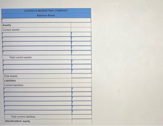 CATENAS MARKETING COMPANY Balance Sheet Assets Current assets: Total current assets Total assets Liabilities Current liabili