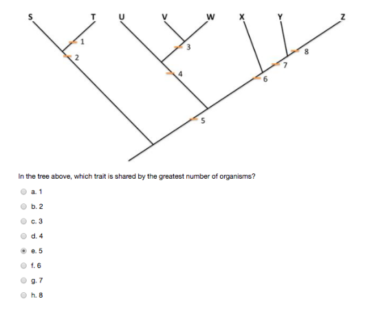 In the tree above, which trait is shared by the greatest number of organisms? a. 1