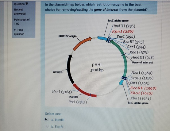 Question In the plasmid map below, which restriction enzyme is the best choice for removing/cutting the gene of interest from
