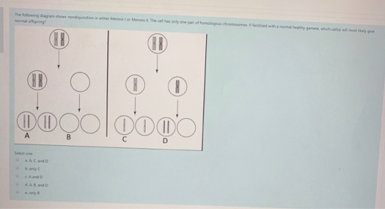 The following diagram shows nondisjunction in the Meiosis or Meiosis IL The cel has only one part of homologous chromosomes f