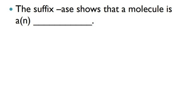 • The suffix –ase shows that a molecule is a(n) _
