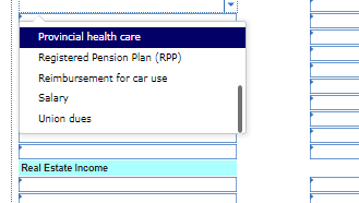 Provincial health care Registered Pension Plan (RPP) Reimbursement for car use Salary Union dues Real Estate Income