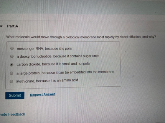 Part A What molecule would move through a biological membrane most rapidly by direct diffusion, and why? messenger RNA, becau
