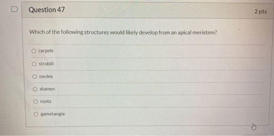 Question 47 2 pts Which of the following structures would likely develop from an apical meristem? carpels O strobili Ovules s