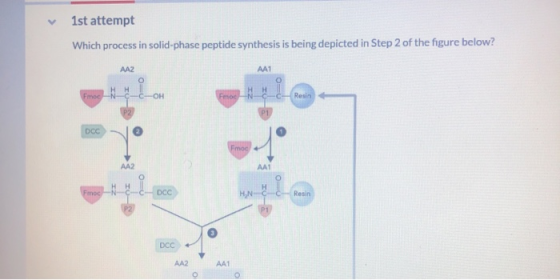 1st attempt Which process in solid-phase peptide synthesis is being depicted in Step 2 of the figure below? AAZ HH NCC Resin