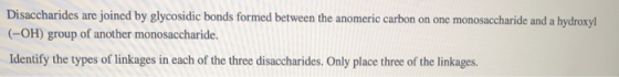 Disaccharides are joined by glycosidic bonds formed between the anomeric carbon on one monosaccharide and a hydroxyl (-OH) gr