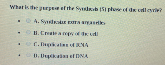 What is the purpose of the Synthesis (S) phase of the cell cycle? E A . Synthesize extra organelles • B. Create a copy of the