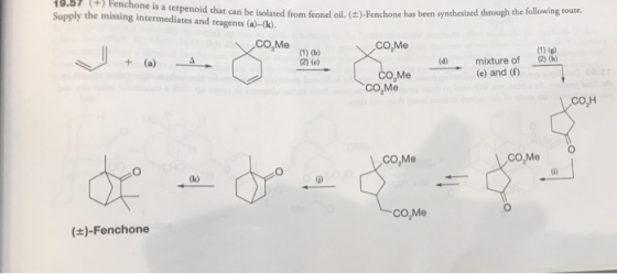 143 Henchone is a terpenoid tchat can be isolated from fennel oll. )-Fenchone has been sy 19.57 Supply the missing intermedia