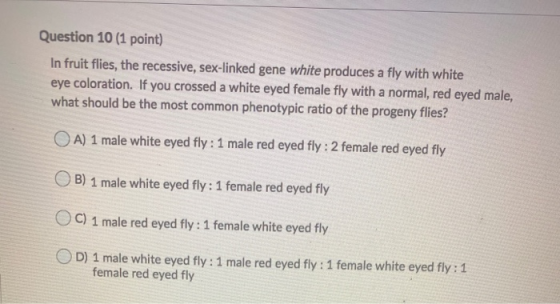 Question 10 (1 point) In fruit flies, the recessive, sex-linked gene white produces a fly with white eye coloration. If you c