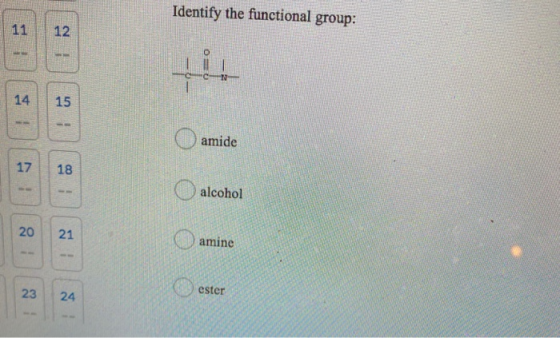 Identify the functional group: 11 1 12 14 15 amide 17 18 alcohol 20 21 amine 23 ester 24