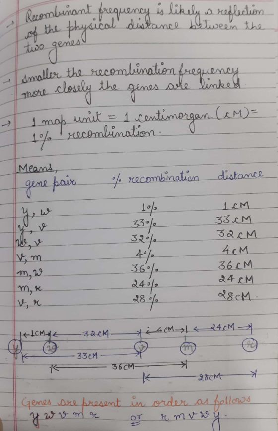 Recombinant frequency is likely a reflection h the physical distance between the two genes 0_ smaller the recombination frequ
