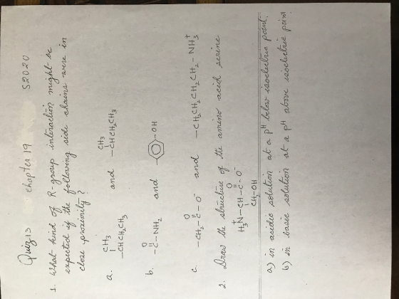 S2020 Quizis Chapter 19 1. What kind of R-group interaction might me expected if following close proximily? the side chains w