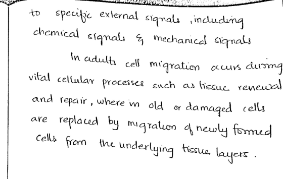 to specific external signals including chemical signals & mechanical signals In adulti cell migration occurs cluiring vital c